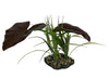 Komodo Rainforest Canopy Plant 10in