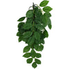 Komodo Green Leaf Hanging Plant 1ea-SM; 16 in
