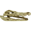 Komodo Alligator Skull Hideout 1ea-9 in